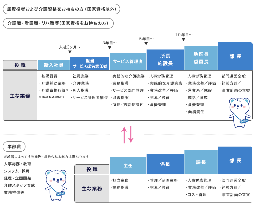 入社後に描けるキャリアをご紹介します。